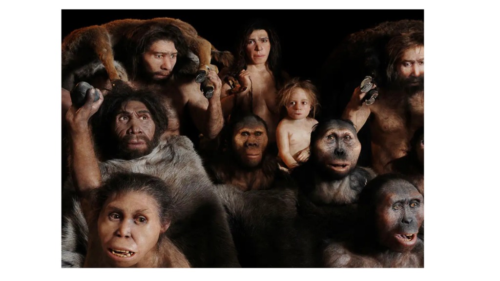 African ancestors of humans