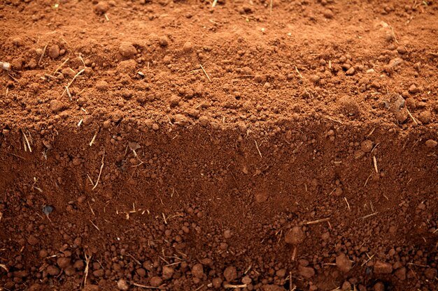 LATERITE SOIL